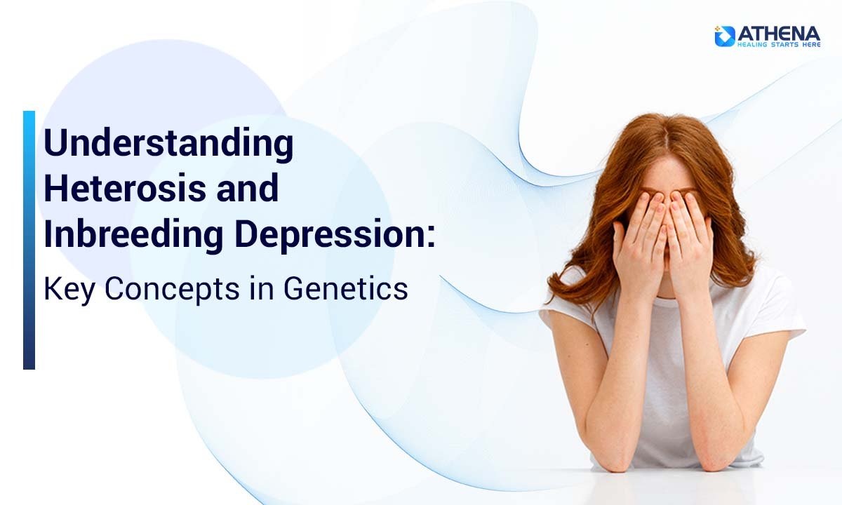 Heterosis vs Inbreeding Depression: Key Genetic Concepts
