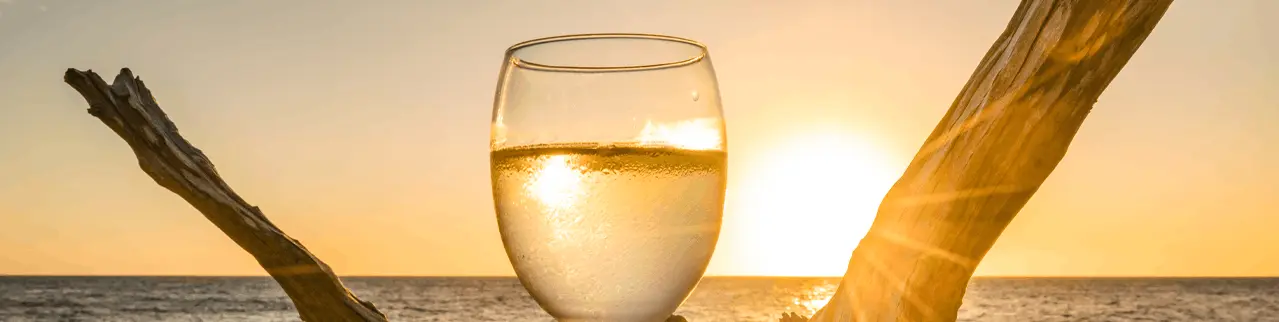 Alcohol addiction specialist consultation cta