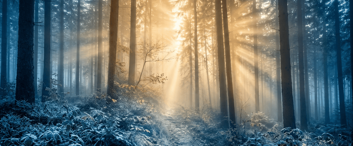 drug addiction specialist consultation cta